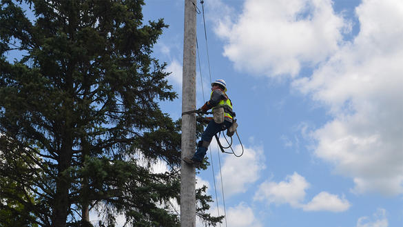 National Grid Electric Worker Scholarship Open for Applicants An image that represents one of the Upstate Upgrade projects